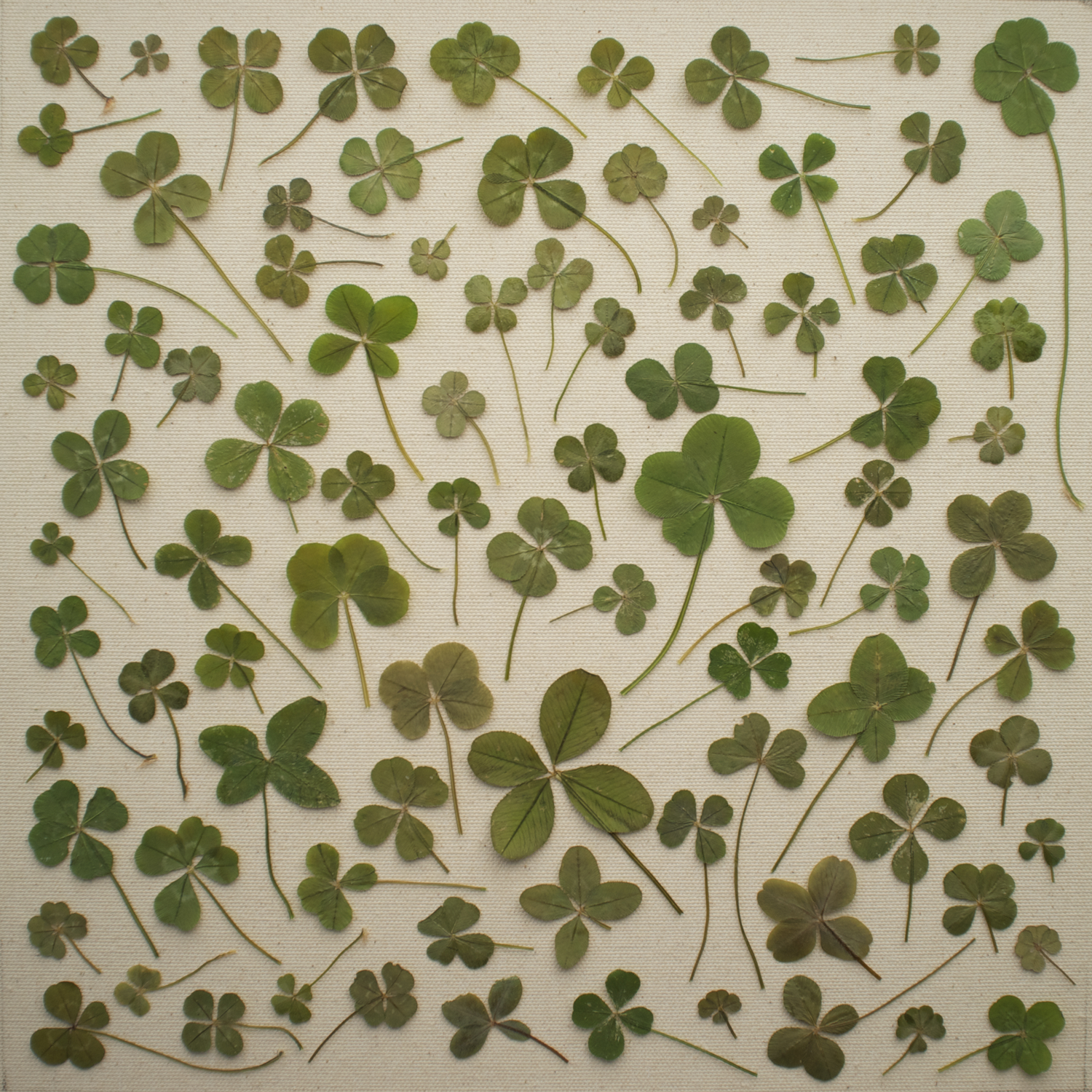 Daniel Martin Moore - 'Turned Over to Dreams'