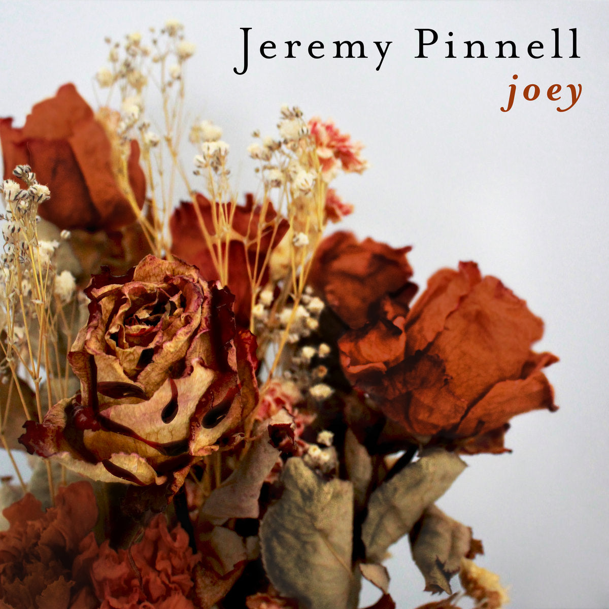 Jeremy Pinnell - 'Night Time Eagle/Joey' 7"