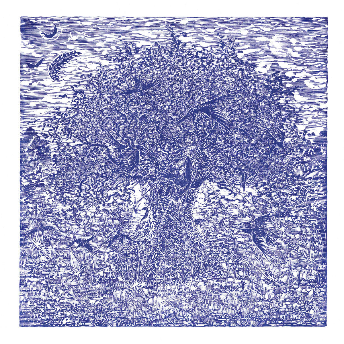 Lori Goldston - 'High and Low'